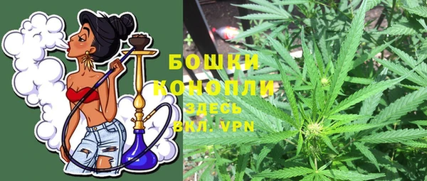 твердый Ладушкин