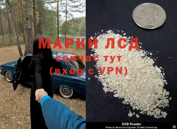 apvp Лагань