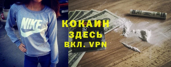 твердый Ладушкин