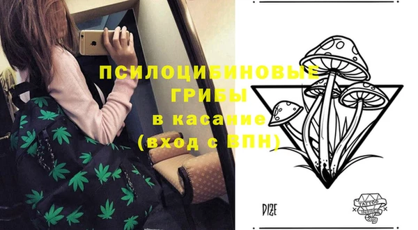 амфетамин Лабытнанги