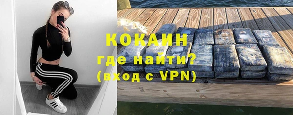 твердый Ладушкин