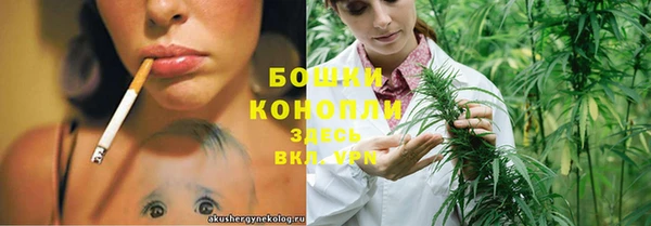 твердый Ладушкин